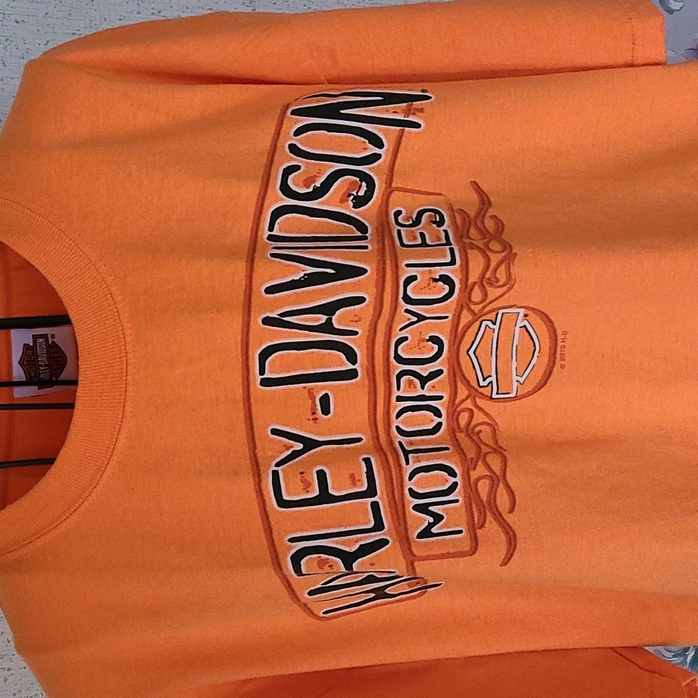 Mens Harley Davidson t-shirt